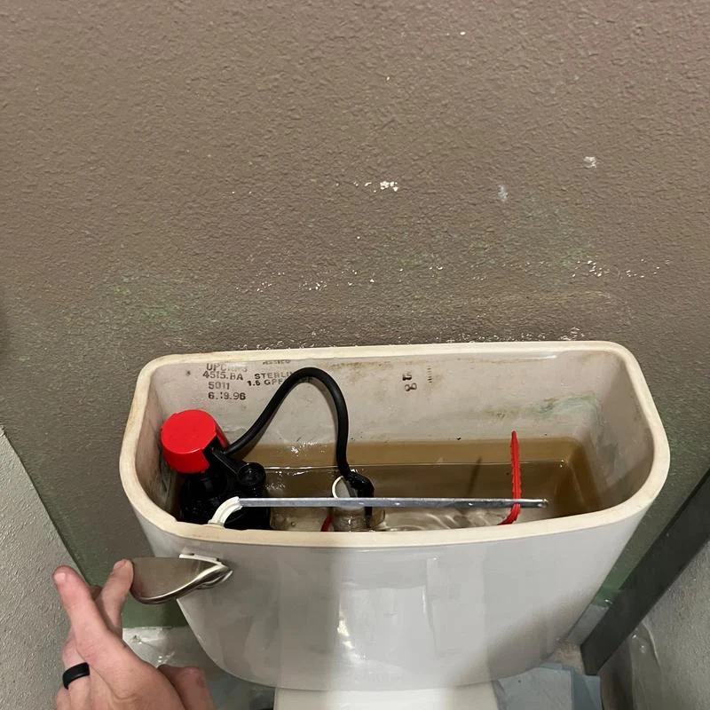 Bluewave Plumbers Fort Collins CO team